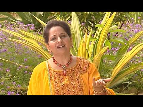 Tere Rang Reh Ke Jeena Eh | Sufi Album | IBADATAAN (HD QUALITY)